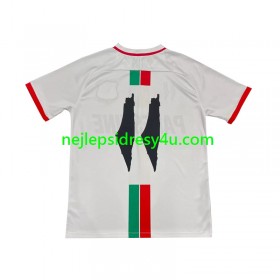 Fotbalový Dres Club Deportivo Palestino Center Stripre Venkovní 2024/25